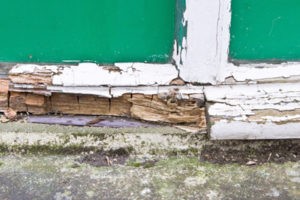 How to tell if your window frames need replacing